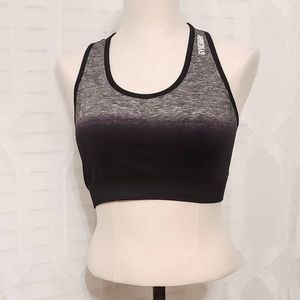 Adapt Ombre Seamless Sports Bra